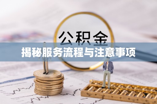 绥宁揭秘服务流程与注意事项
