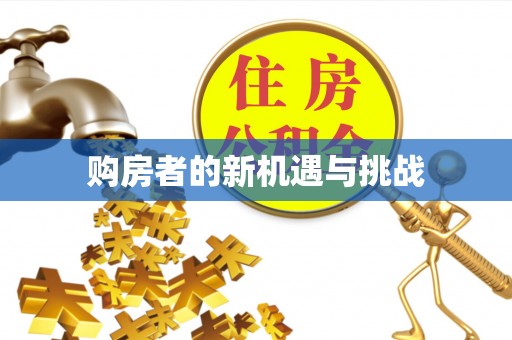 绥宁购房者的新机遇与挑战