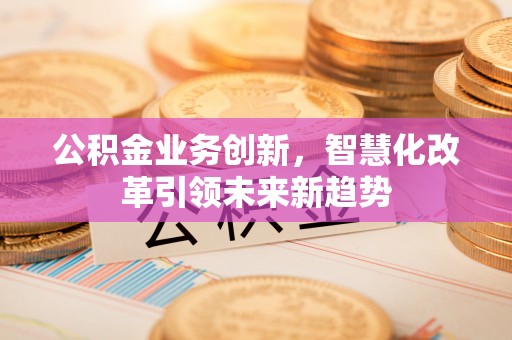 绥宁公积金业务创新，智慧化改革引领未来新趋势