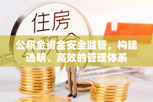绥宁公积金资金安全监管，构建透明、高效的管理体系
