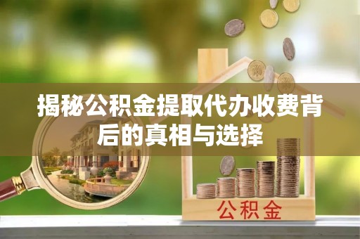 绥宁揭秘公积金提取代办收费背后的真相与选择