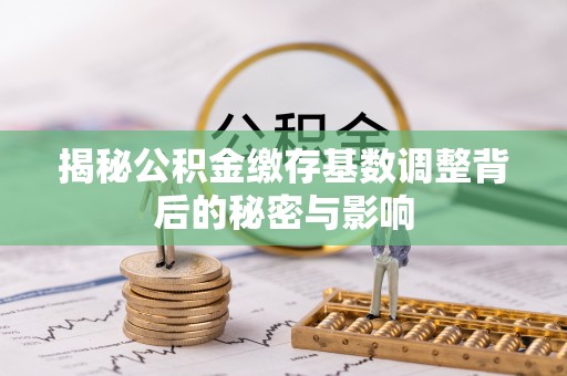 绥宁揭秘公积金缴存基数调整背后的秘密与影响
