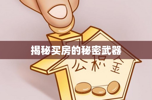绥宁揭秘买房的秘密武器