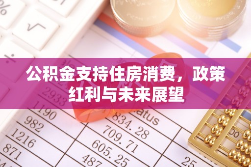 绥宁公积金支持住房消费，政策红利与未来展望