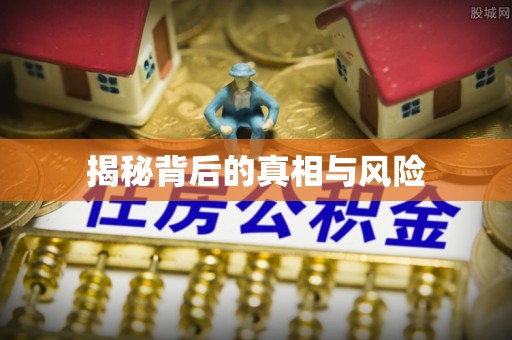 绥宁揭秘背后的真相与风险