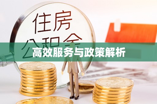 绥宁高效服务与政策解析