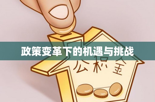 绥宁政策变革下的机遇与挑战