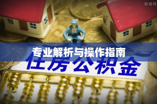 绥宁专业解析与操作指南