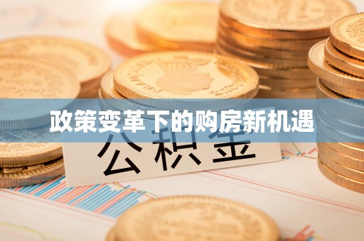 绥宁政策变革下的购房新机遇