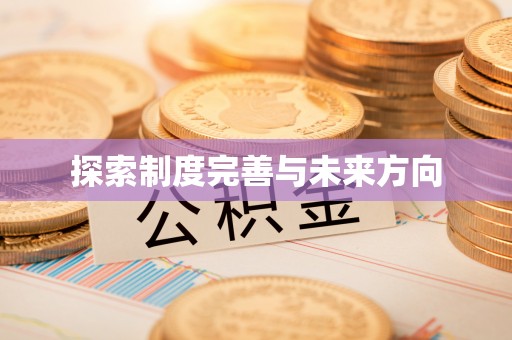 绥宁探索制度完善与未来方向