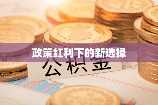 绥宁政策红利下的新选择