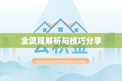 绥宁全流程解析与技巧分享